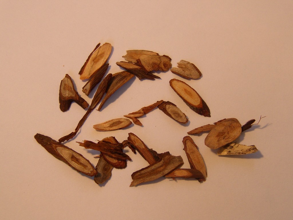 Cinnamon / Gui Zhi
