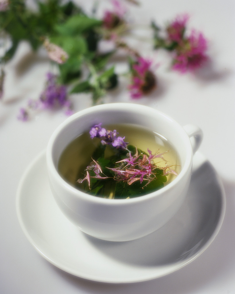Tea - one of my key Treatments for Infertility