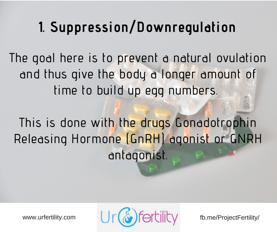 IVF treatment Suppression/Downregulation